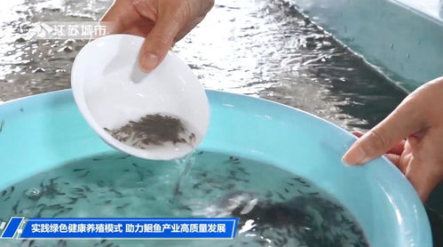 江苏电视台江苏直通车报道 江苏省淡水水产研究所