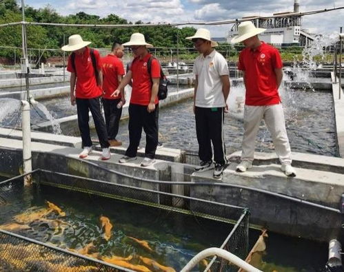 带着专业知识逛菜市场,长沙高校学子探索地道家乡味