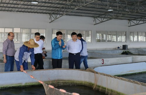 方春明到广西水产科学研究院南繁水产良种基地考察