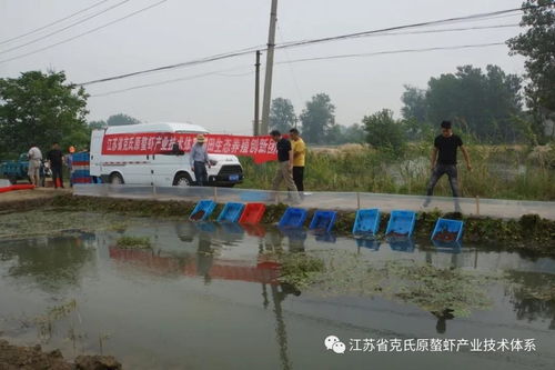 体系稻田生态养殖岗位专家张家宏研究员在泰安镇现场指导 稻中虾 投苗养殖技术